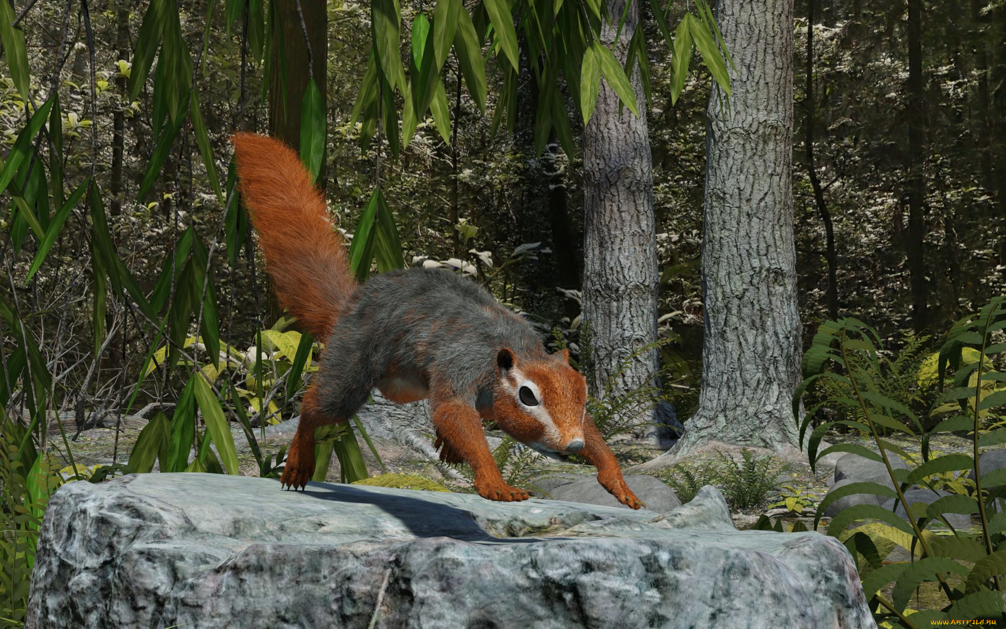 3 ,  , animals, 